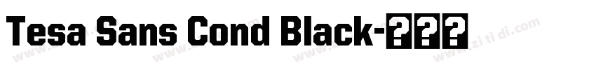 Tesa Sans Cond Black字体转换